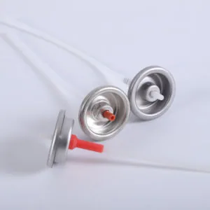 Cụm van Bag-on-Valve với túi bên trong trong ảnh nguồn