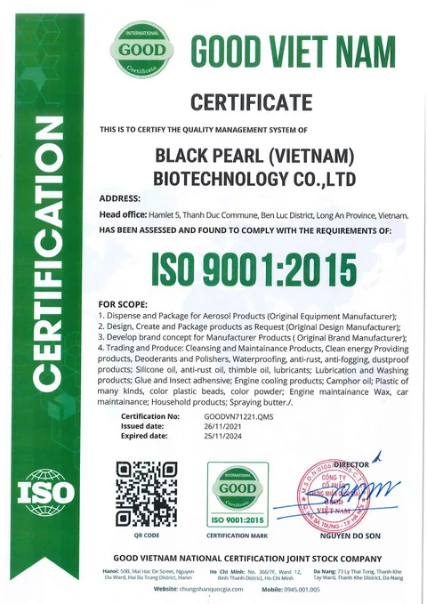 Tài liệu ISO 9001 bằng tiếng Anh trong ảnh nguồn